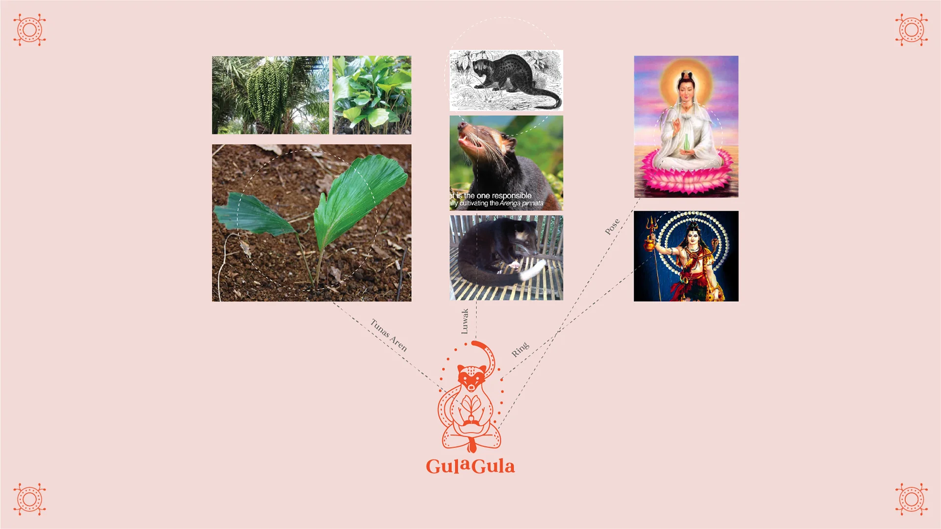 GulaGula logo exploration 2 2/5